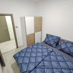 Apartment Trika *